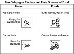 labs, lab, the beaks of finches fig: lenv62018-examw_g28.png